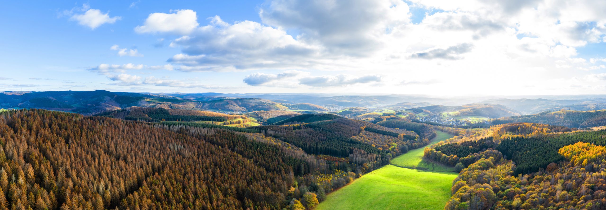 Landschaft Siegerland im Herbst mit Wald und grünen Wiesen