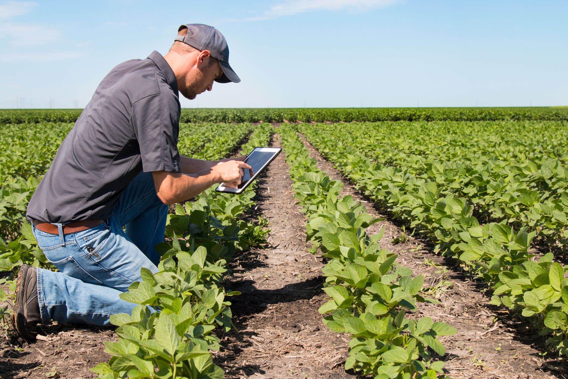 Mann auf Feld bei blauem Himmel mit Tablet in der Hand