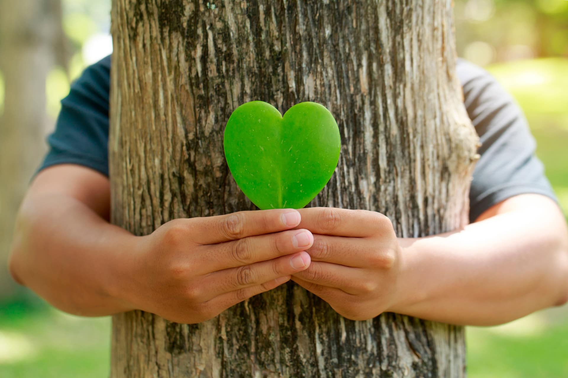 Eine Person umarmt einen Baum von hinten und hält ein hezförmiges Blatt in den Händen